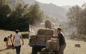 Lou Porti -Agriturismo a Monterosso Grana